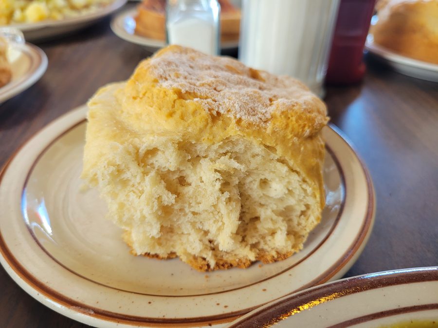 A single tall homemade biscuit, split open, filling a small cream plate with a brown rim on a dark wood table.